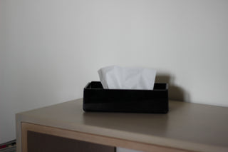 Solid Tissue Box